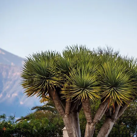 호텔 O7 Tenerife